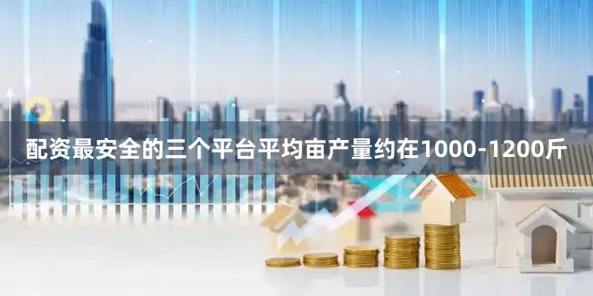 配资最安全的三个平台平均亩产量约在1000-1200斤